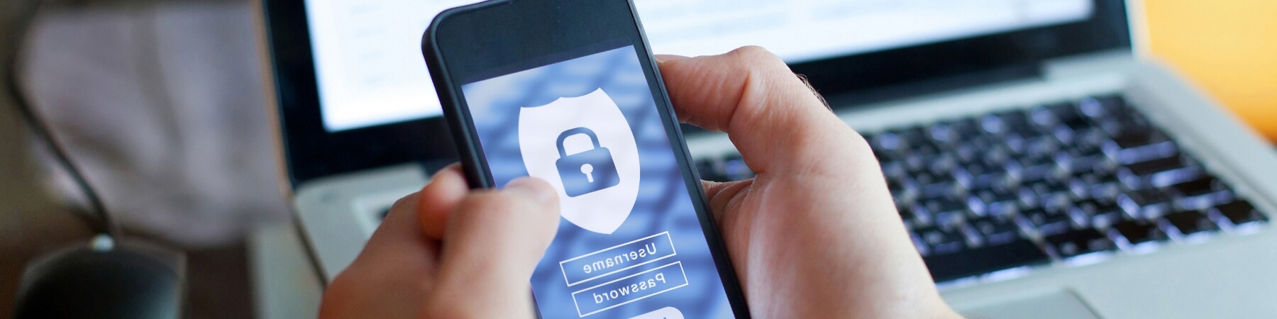 Information Security / Cybersecurity & Privacy Protection