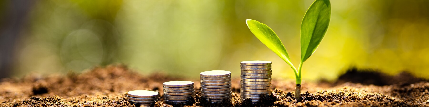 Environmental Investment and Benefits