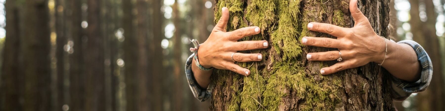 Alleviating Environmental Impact